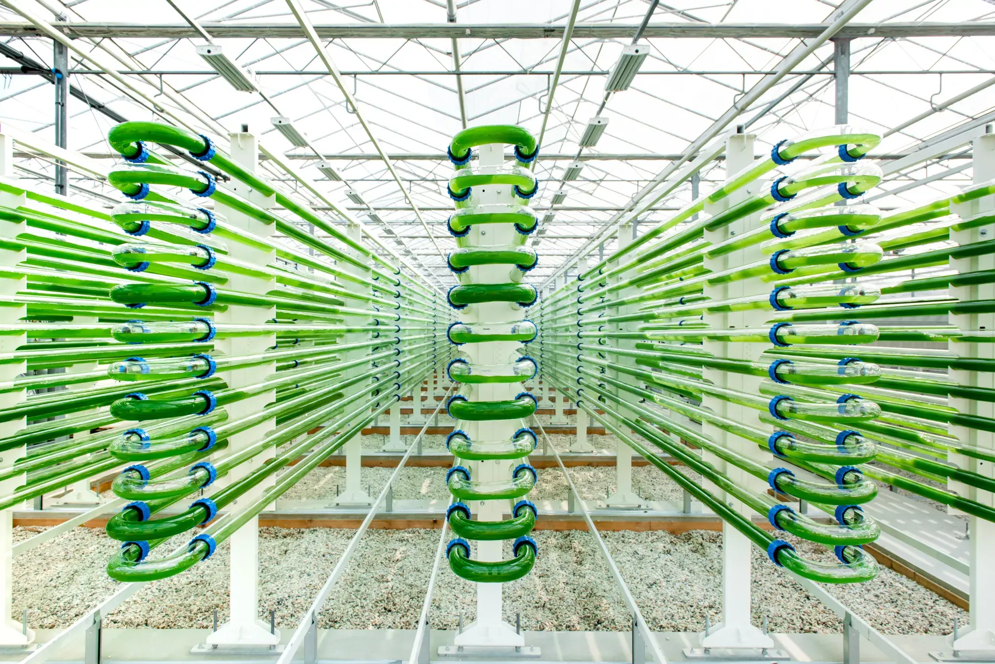 Lgem mei 2022 HI res 2